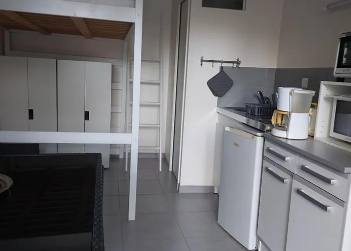 Apartment Confort Dans Petit Jardin Calme Saumur